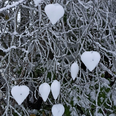 Khuôn Tạo Hình Trái Tim Tuyết