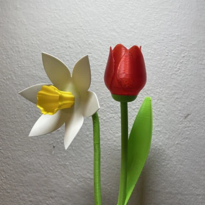 Cành Hoa Thủy Tiên Đẹp