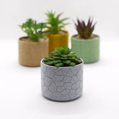 Chậu hoa số 3 - Hoa văn đá cong