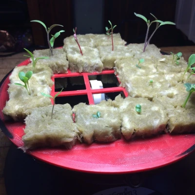 Khay ươm hạt cho AeroGarden 3 và đá khoáng