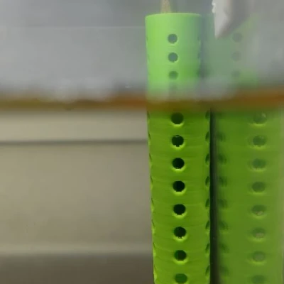 Chậu cây thủy sinh trồng tép ẩn mình dưới rễ cây