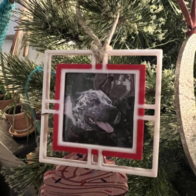 Khung Giáng Sinh 2 Màu Siêu Dễ In Cho Cây Thông Noel 1 3/4"x1 3/4"