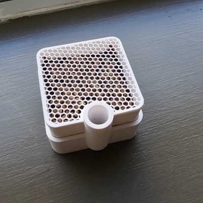 Chậu tự tưới - cỏ mèo