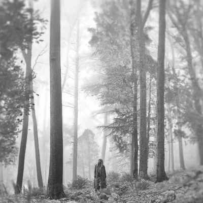 Tranh Lithophane Ảnh Bìa Album "Folklore"