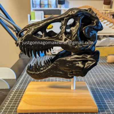 Hộp sọ T-Rex có cả Hàm