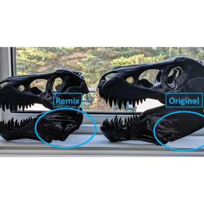 Hộp sọ T-Rex có cả Hàm