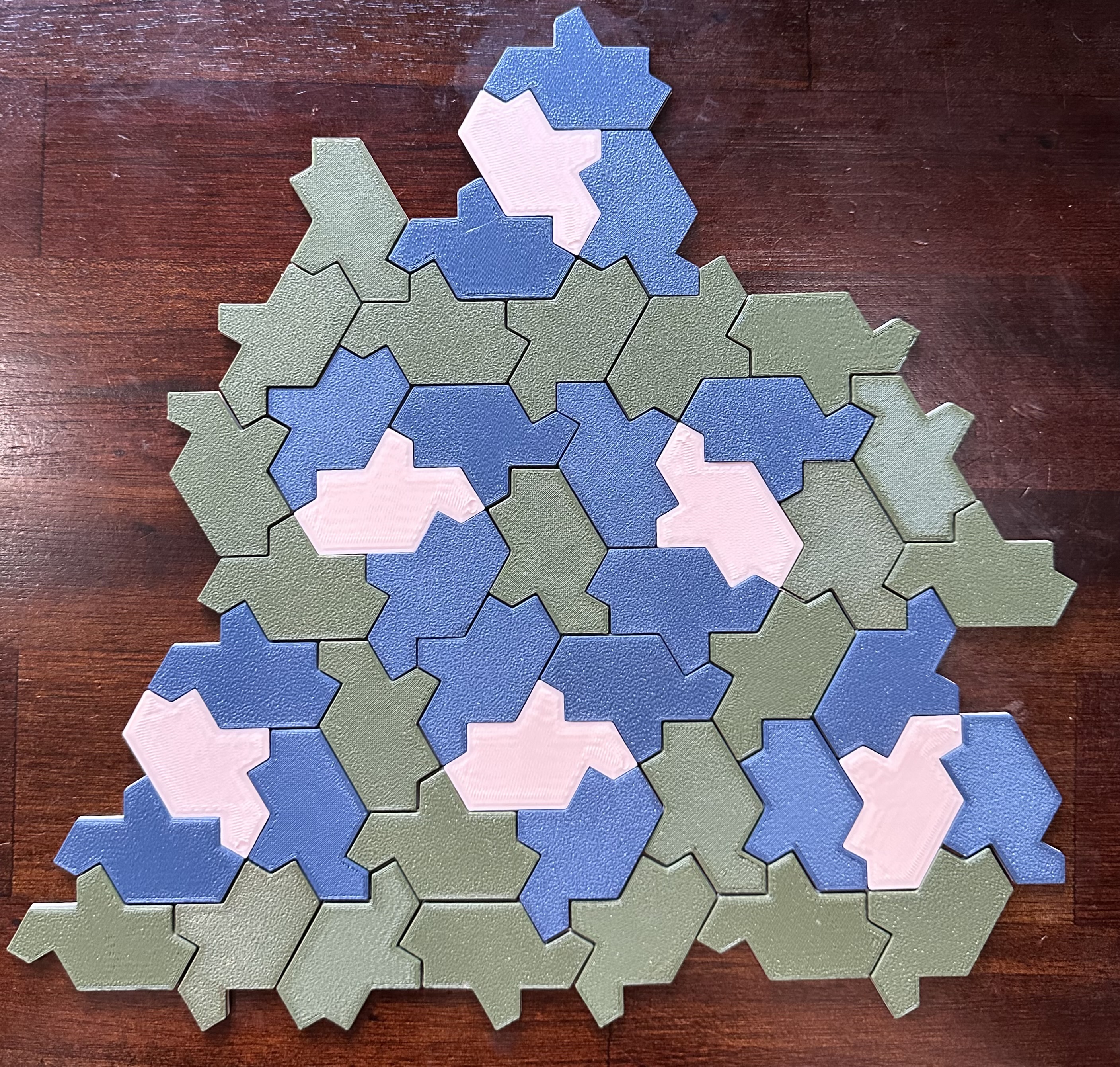 Rùa Aperiodic "Einstein"