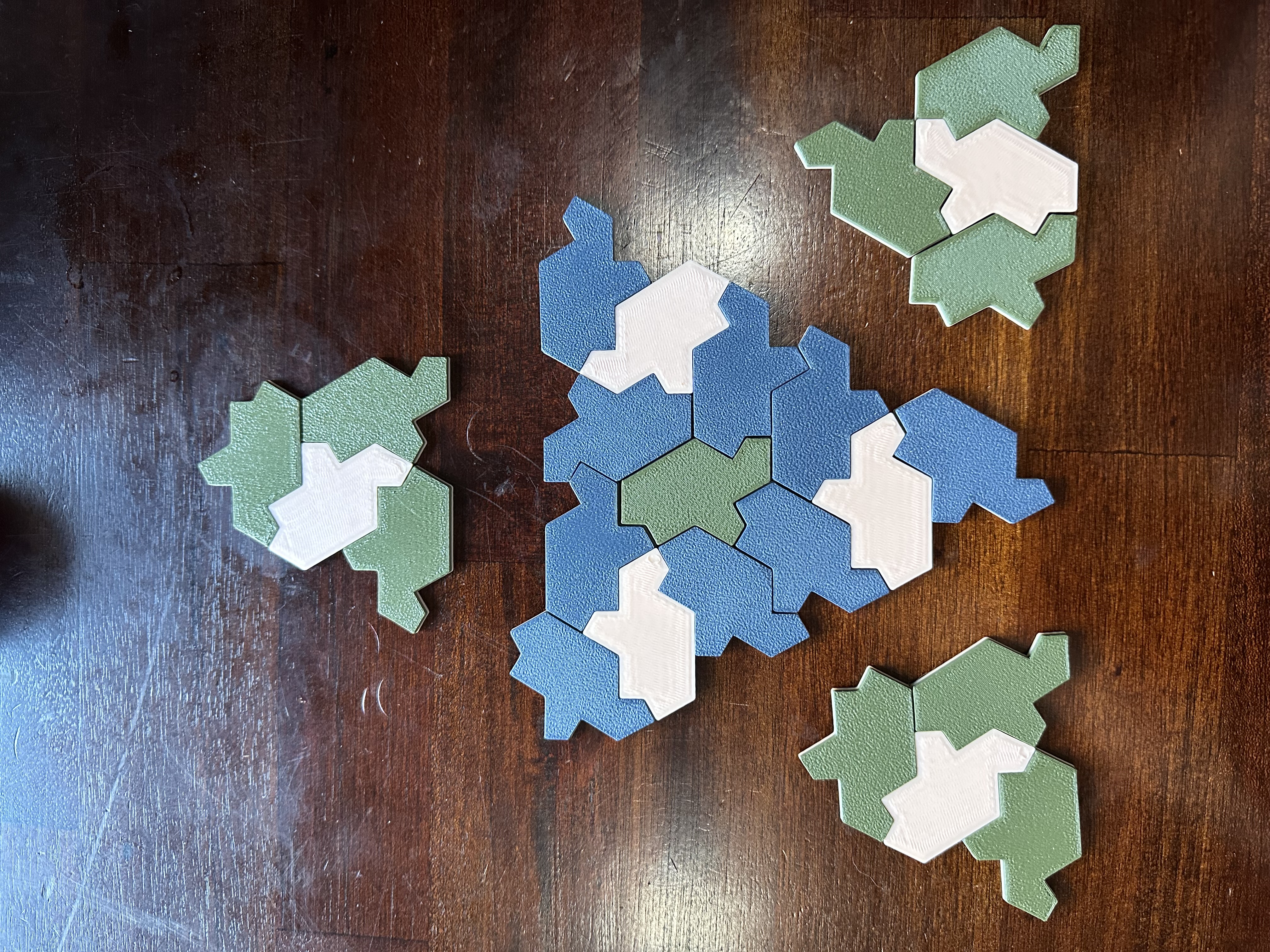 Rùa Aperiodic "Einstein"