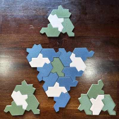 Rùa Aperiodic "Einstein"