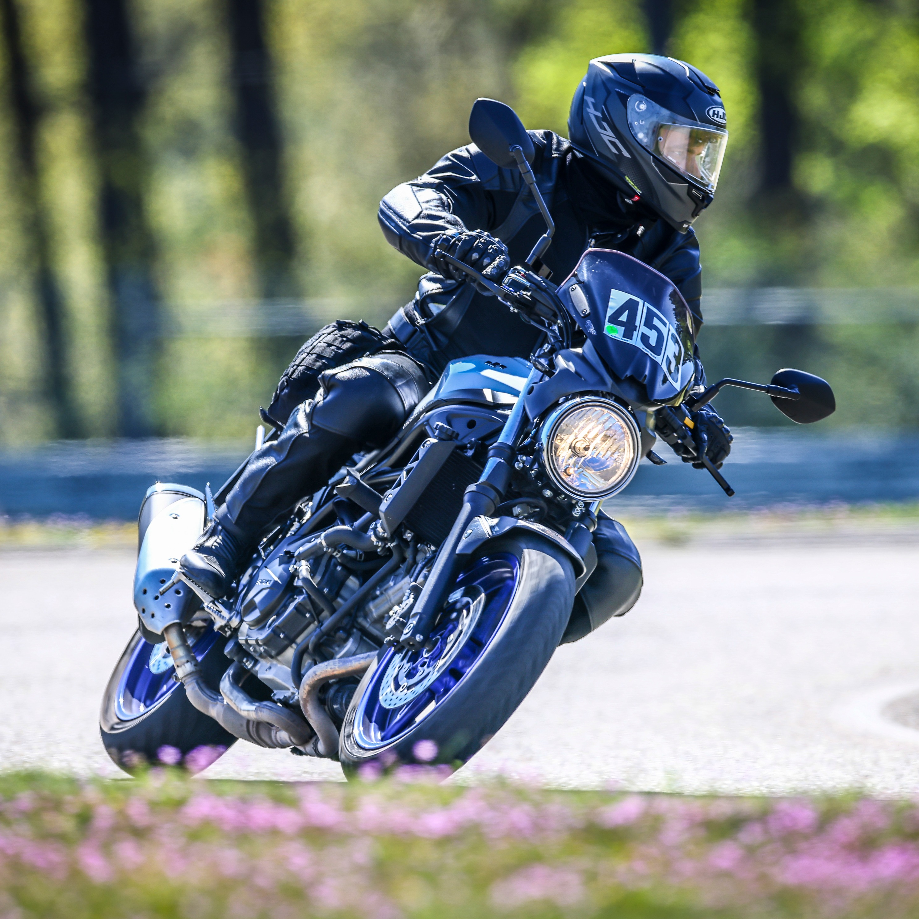 waschbaerman_1496769