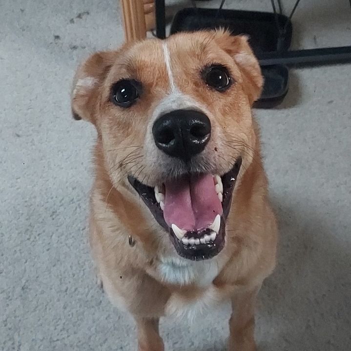 RetroRedston_1538452