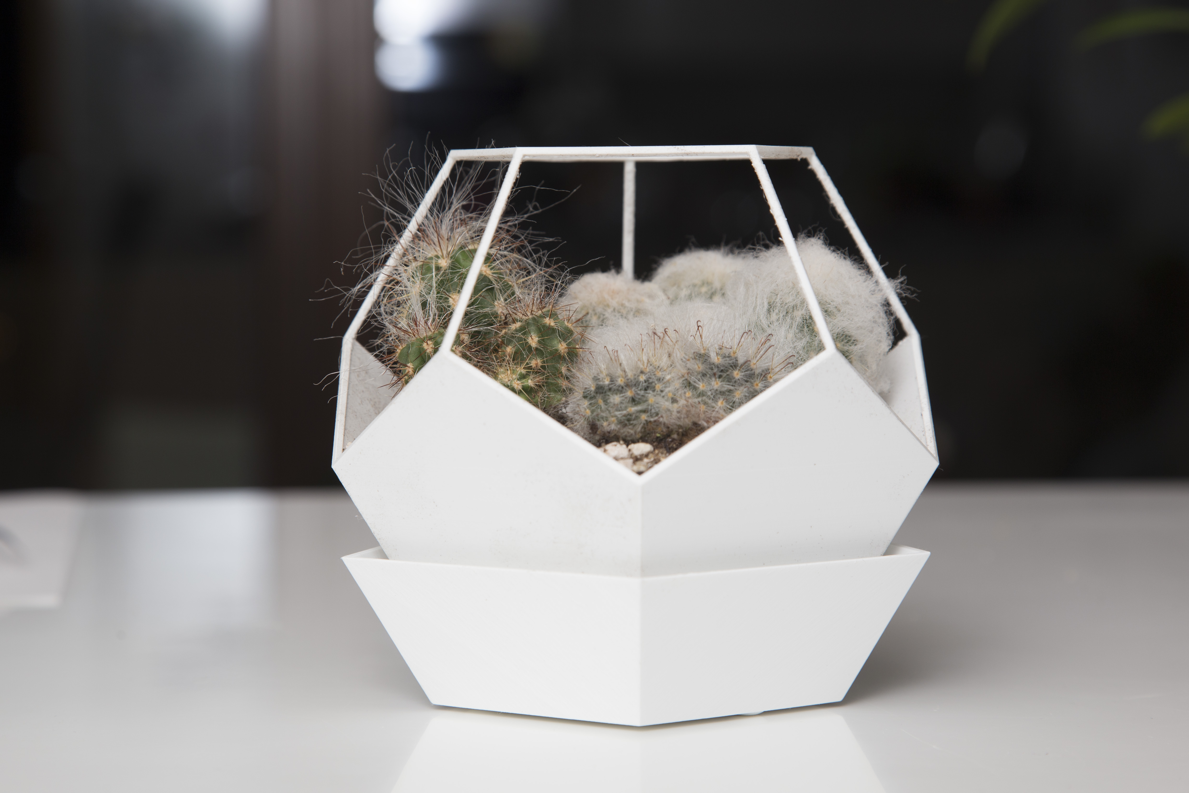 Chậu Hoa Hình Dodecahedron Có Đế Lót