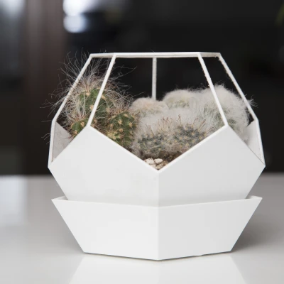 Chậu Hoa Hình Dodecahedron Có Đế Lót