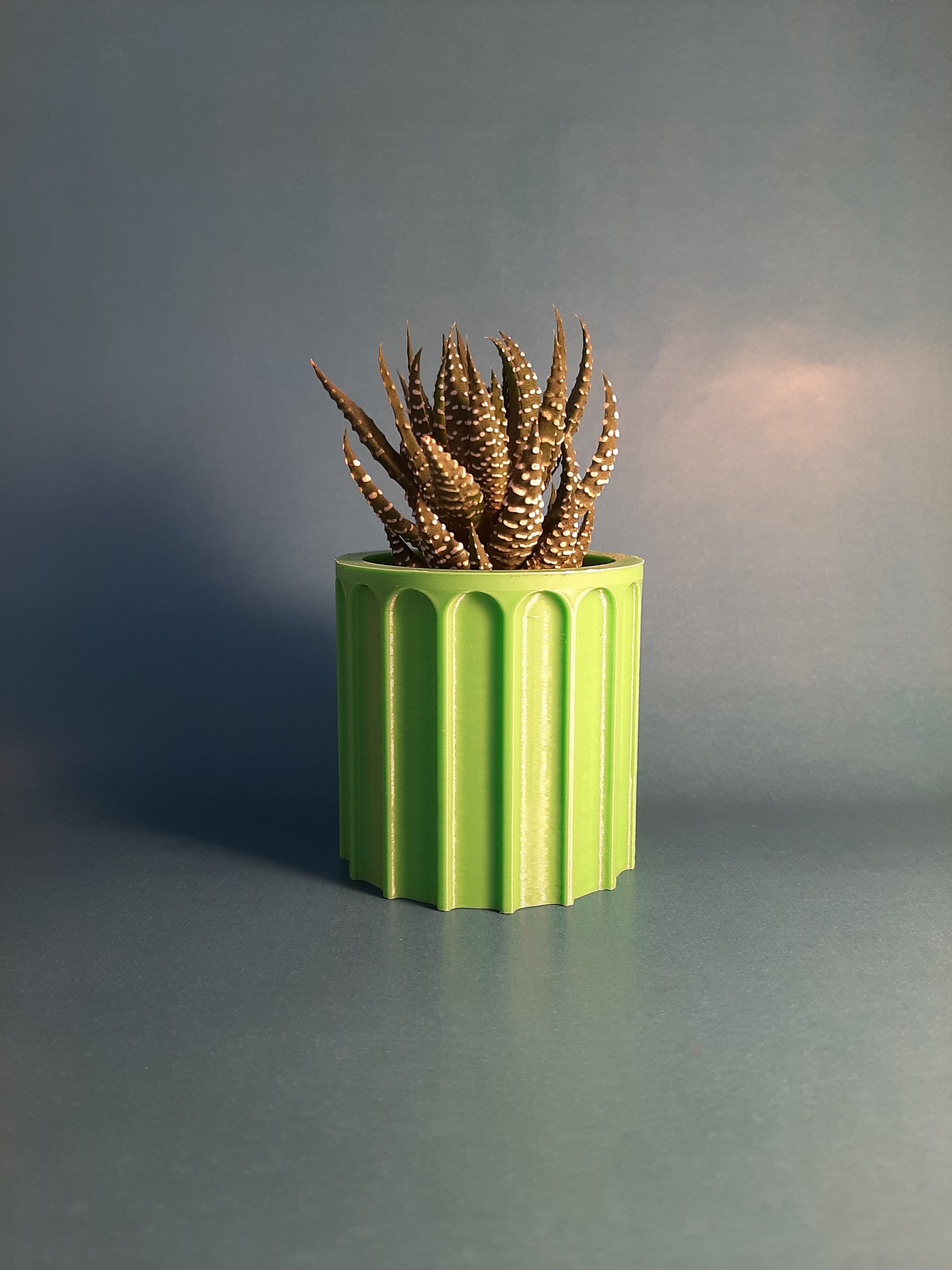 Chậu Cây Hình Trụ Chi Tiết Màu Xanh