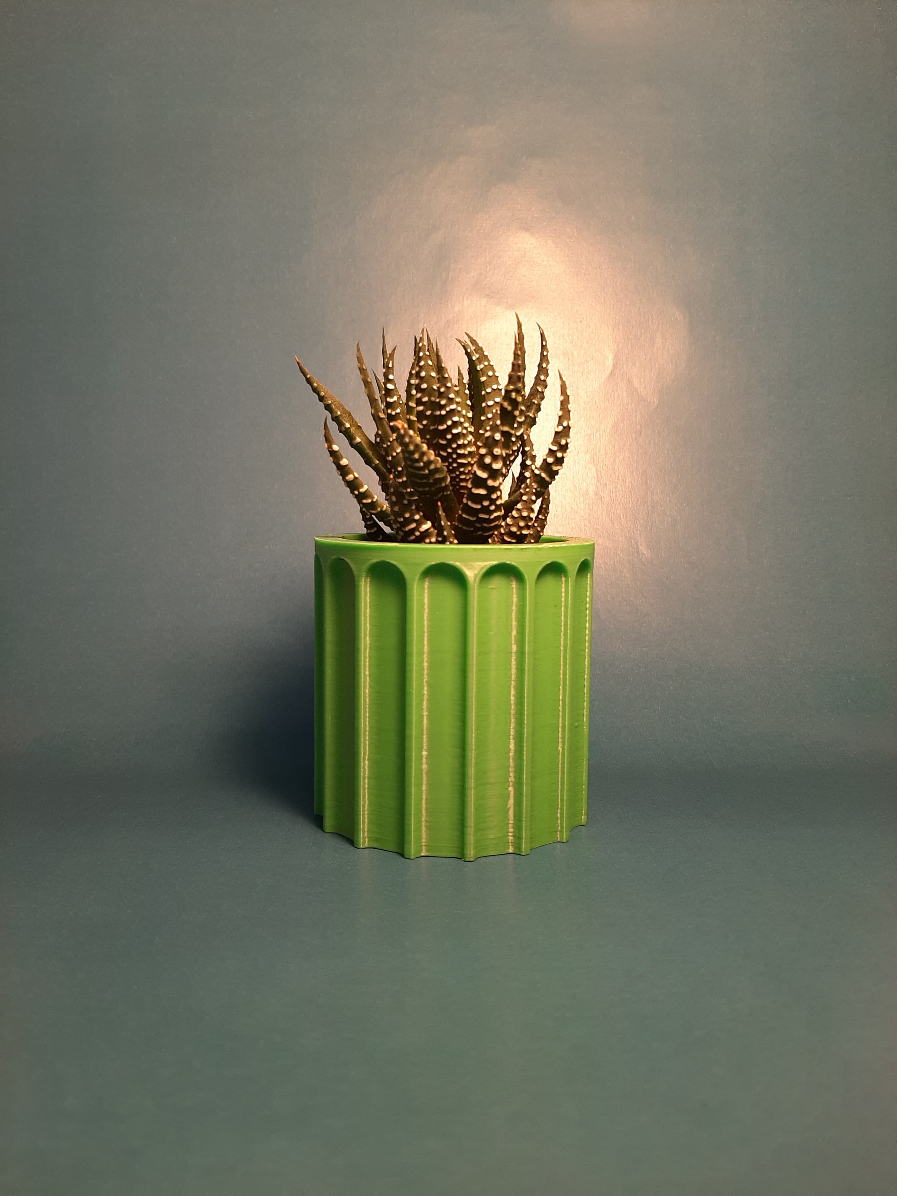 Chậu Cây Hình Trụ Chi Tiết Màu Xanh