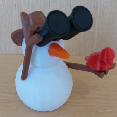 Người Tuyết "Birder Boi"