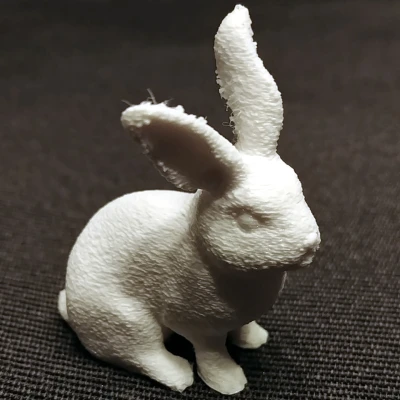 Thỏ Lông Xù / Thỏ Mượt