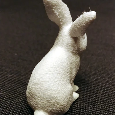 Thỏ Lông Xù / Thỏ Mượt