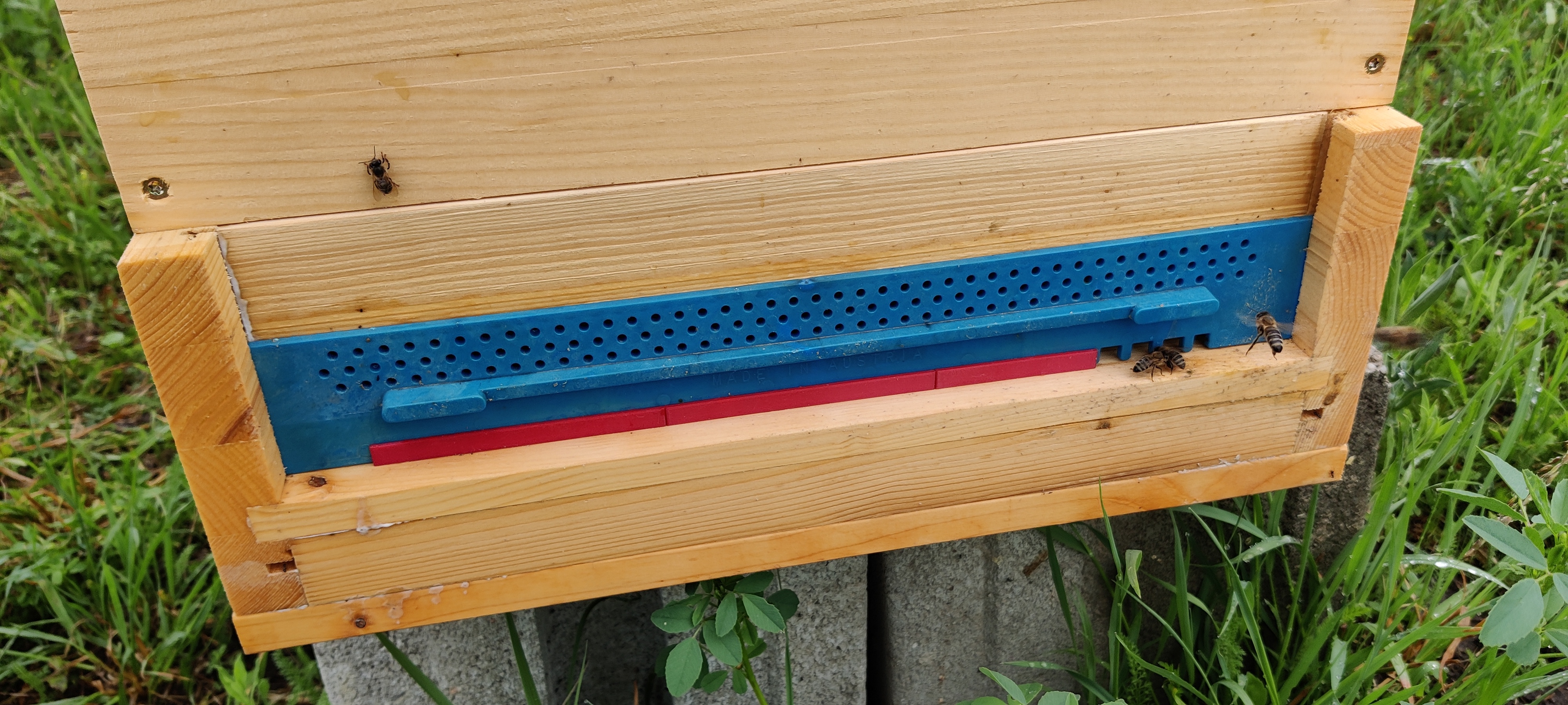 Giảm Cửa Tổ Ong Dùng Cho Cổng Chuột (FreeCAD, có tham số)