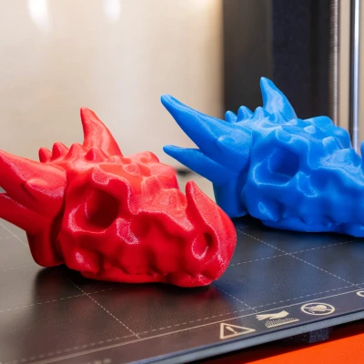 Bộ Xương Rồng Thân Thiện Với Trẻ Em