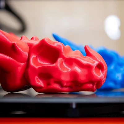 Bộ Xương Rồng Thân Thiện Với Trẻ Em