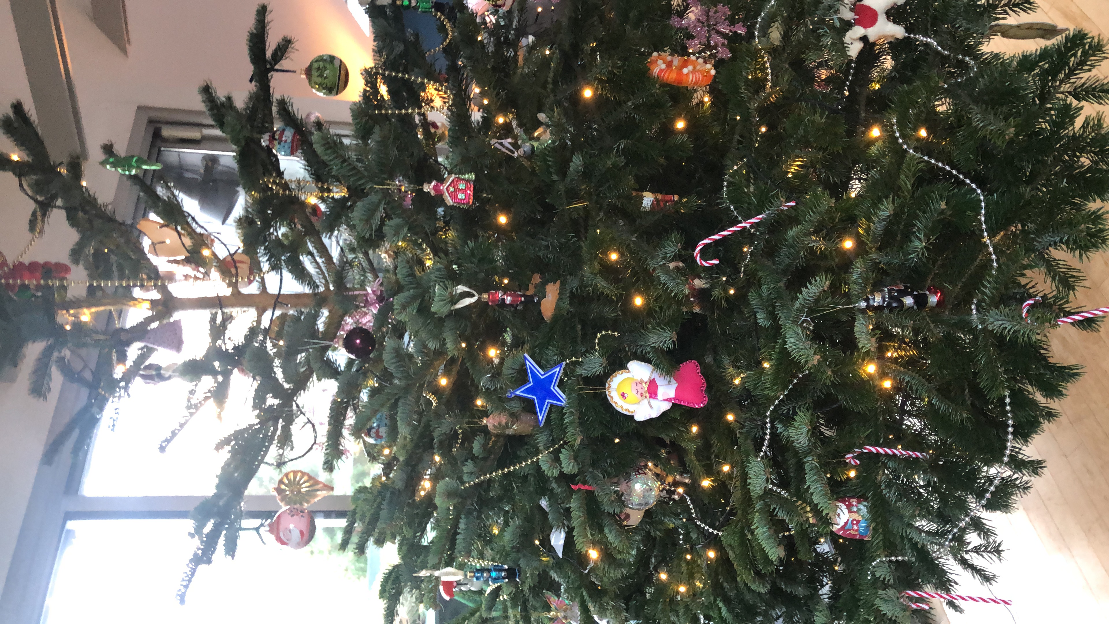 Trang Trí Cây Thông Noel Dallas Cowboys