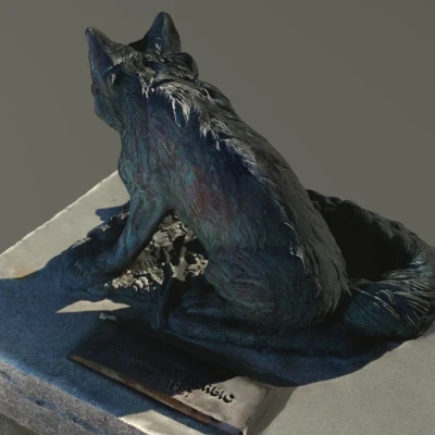 Cáo / Sói Thực Tế Trên Đá