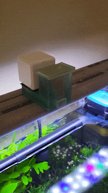 Máy cho cá ăn tự động