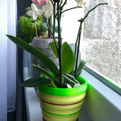 Chậu Hoa Kiểu Dáng Độc Đáo