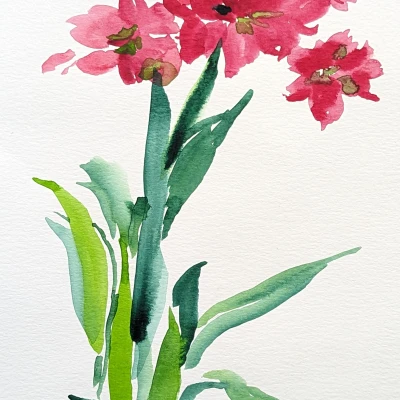 Móc Treo Trang Trí Hoa Amaryllis