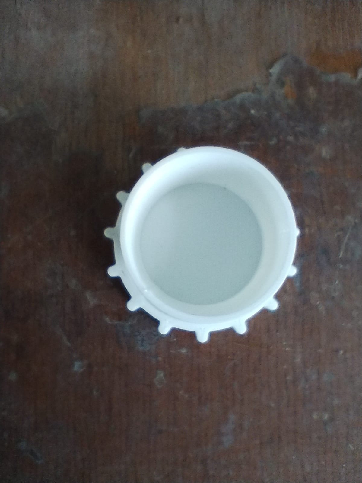 Nút Bịt Hồ Bơi Pelopincho