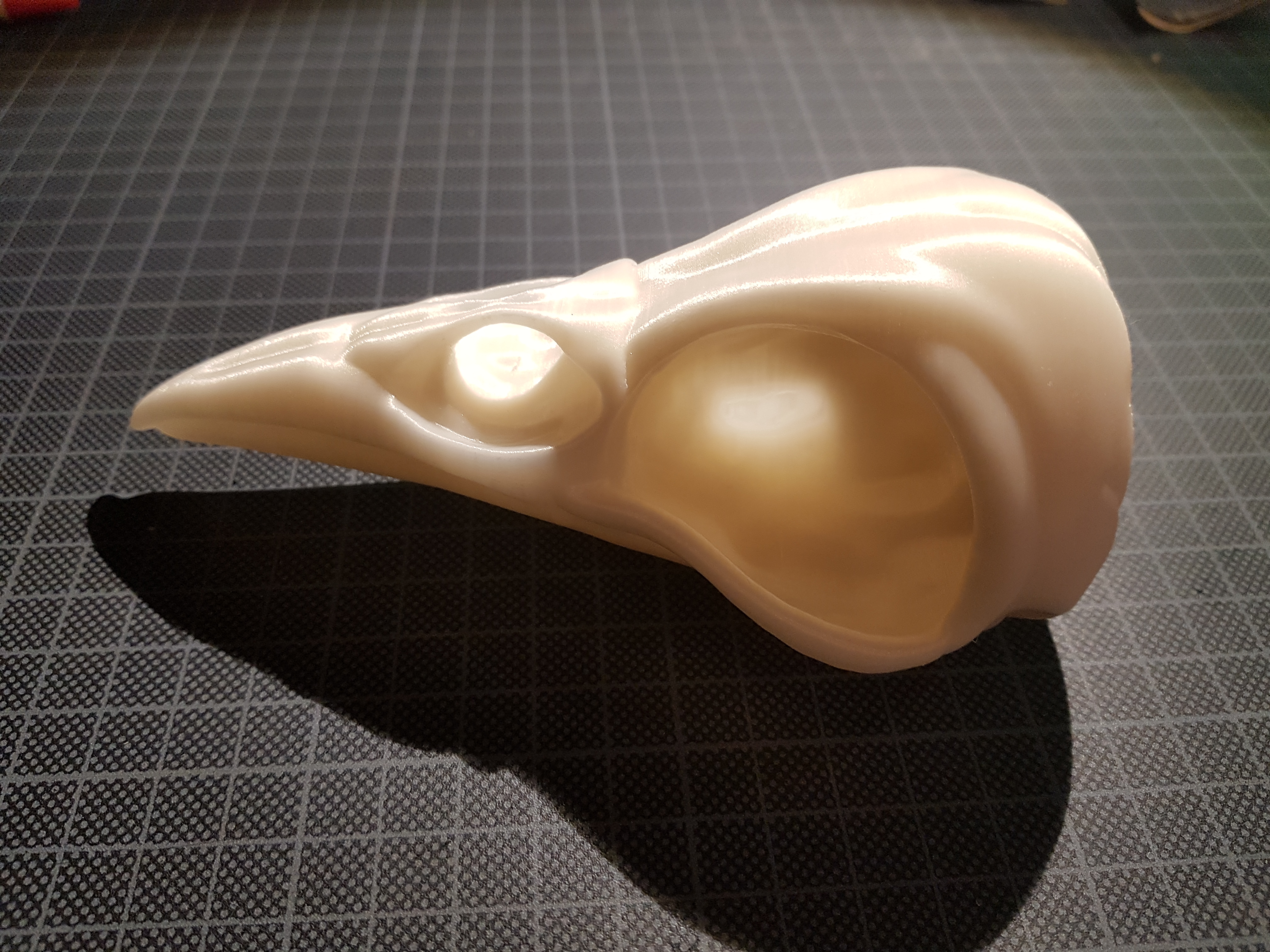 Đầu Lâu Quạ - Raven Skull