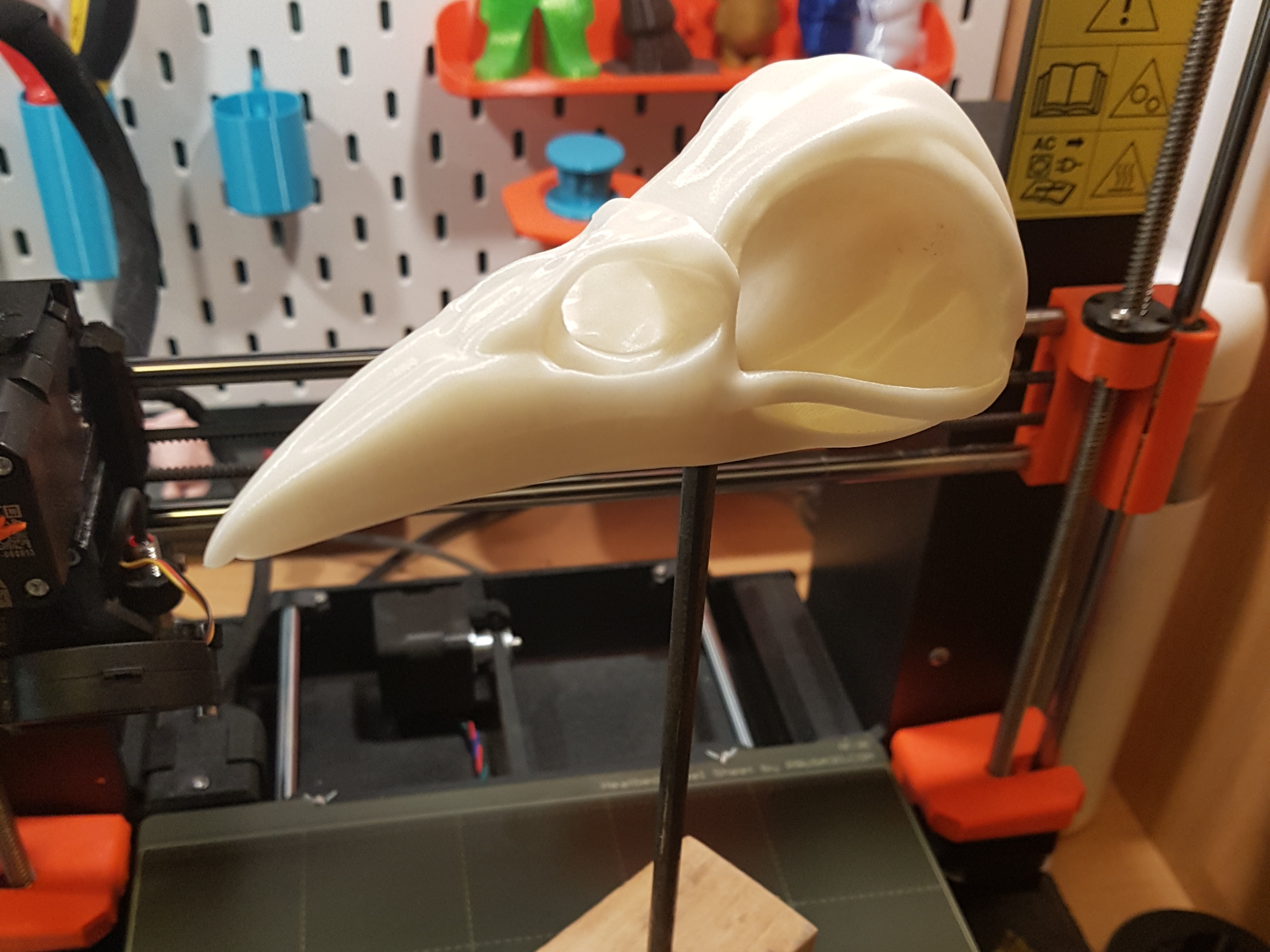 Đầu Lâu Quạ - Raven Skull