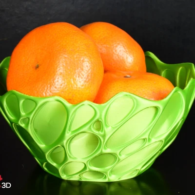 Cái Bát Lỗ (Voronoi)