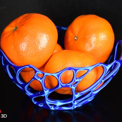 Cái Bát Lỗ (Voronoi)