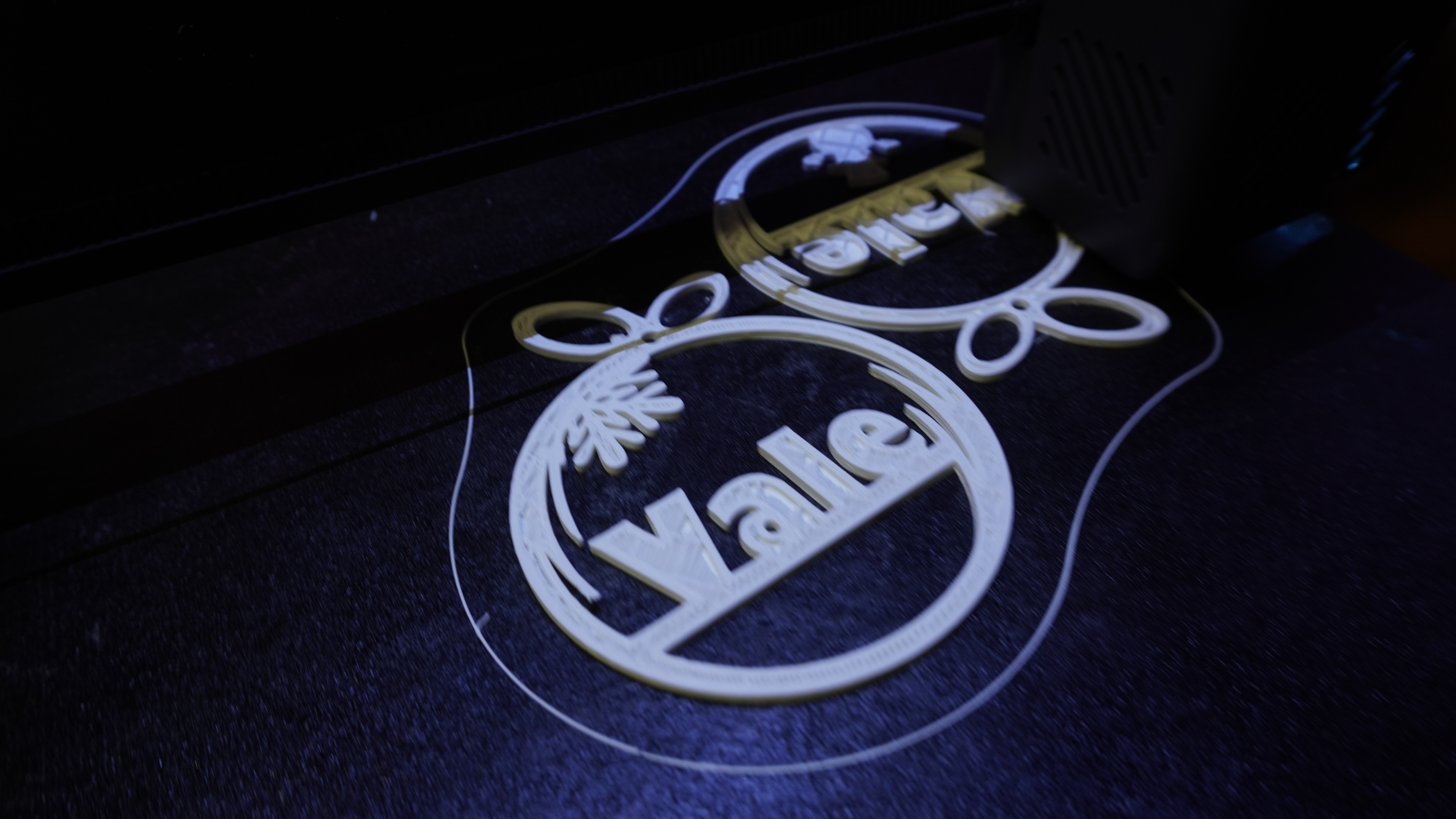 Trái Châu Noel Có Tên