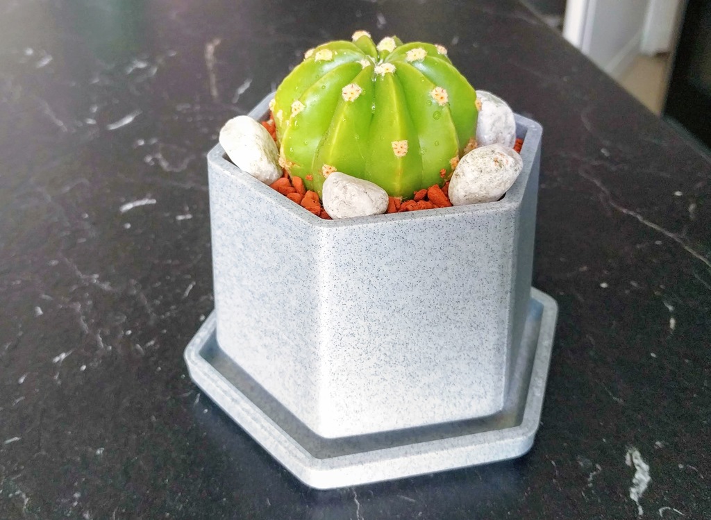 Chậu Hoa Nhỏ Có Khay Hứng Nước