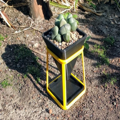 Chậu Hoa "Chan Sả"