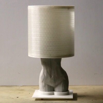 Đèn hiện đại với chụp đèn PLA trong suốt