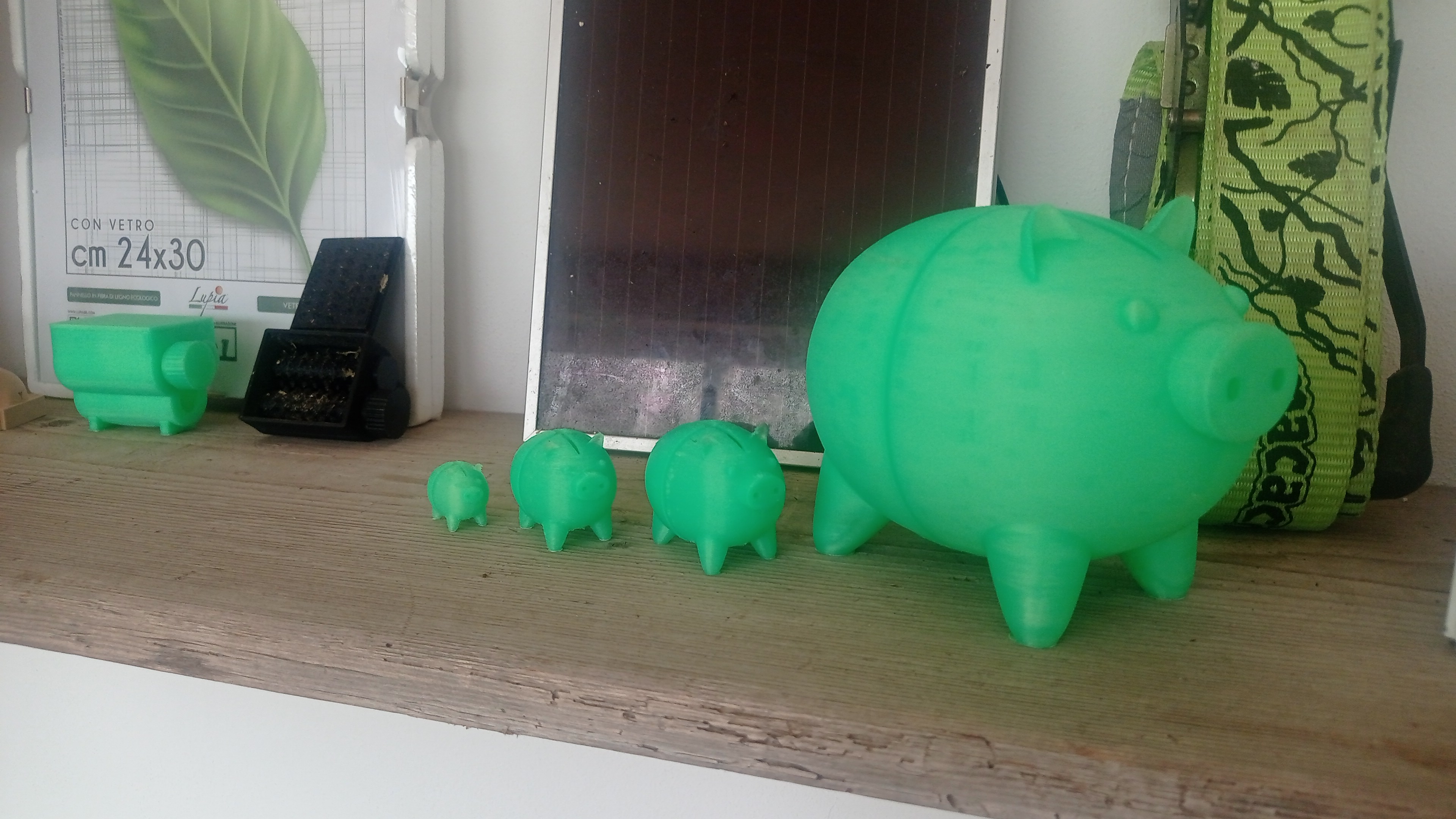 Chú Heo Nhỏ Ăn Giấy Vệ Sinh