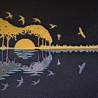 Trang trí hộp đàn Guitar - Phối lại chim PRS