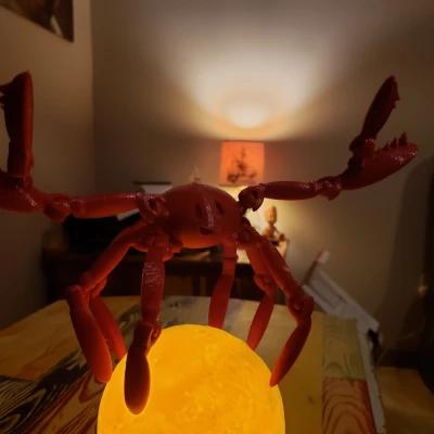 Cua Vui Vẻ Tạo Dáng Tương Thích Tinkercad Tinkerplay