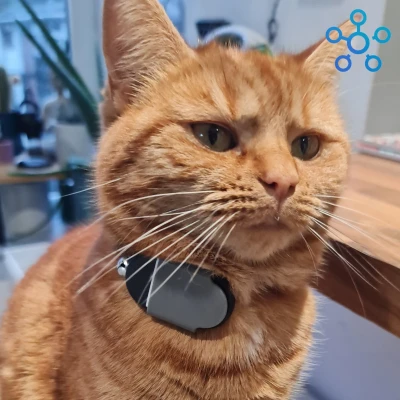 Kẹp Vòng Cổ Mèo Dành Cho SmartTag2