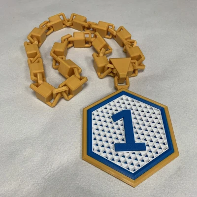 Huy chương Giải thưởng Đeo được Cỡ lớn