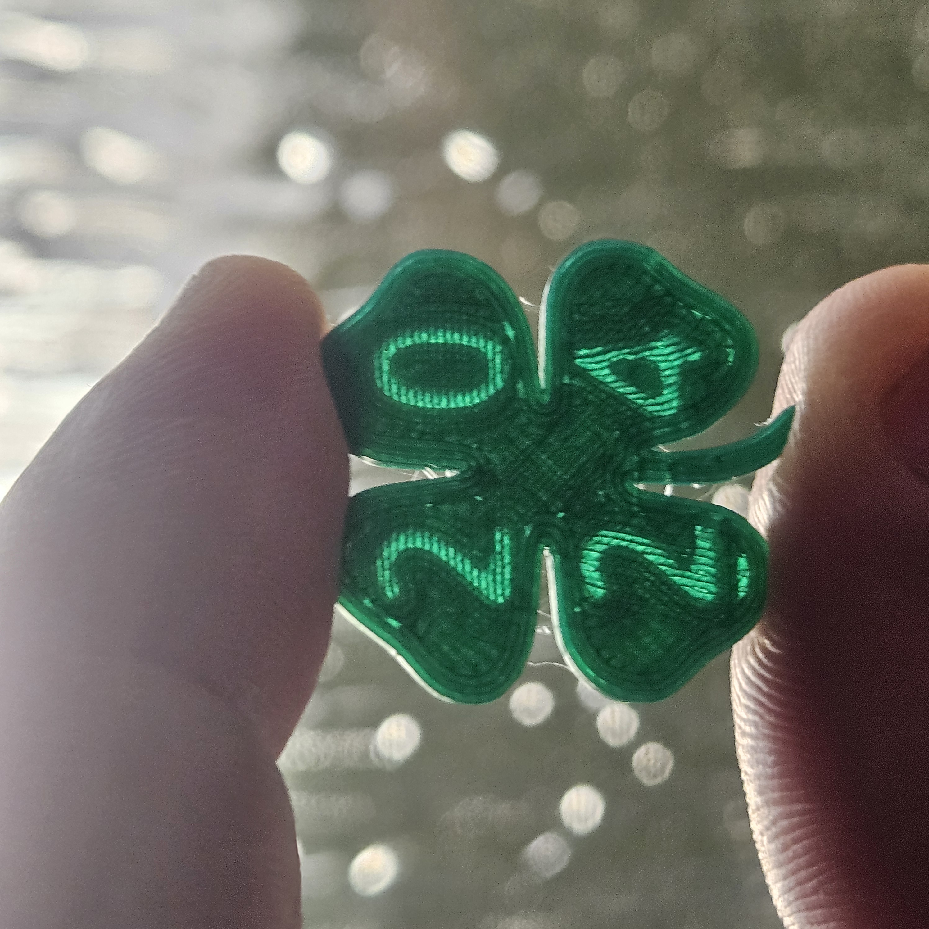 Cỏ Ba Lá May Mắn 2024