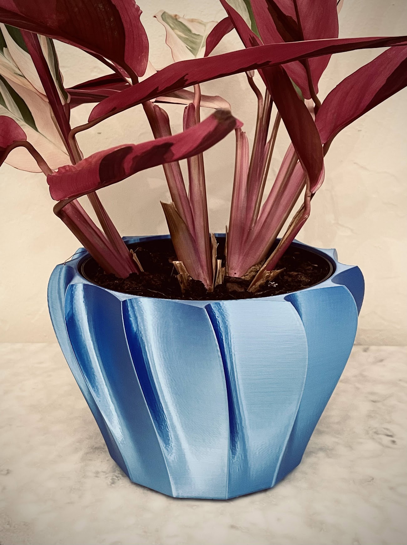 Chậu Cây Hình Turbine (vừa vặn hoàn hảo cho chậu 6 inch)