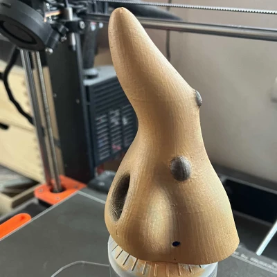 Mặt nạ mũi phù thủy