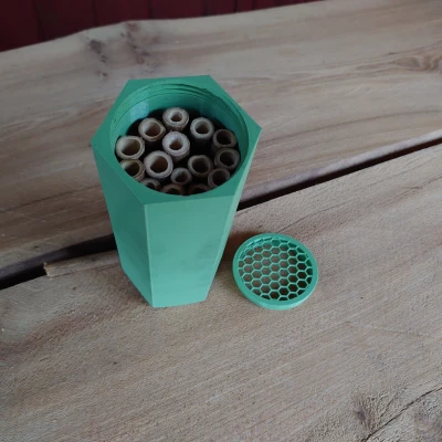 Tổ Ong Đơn Độc