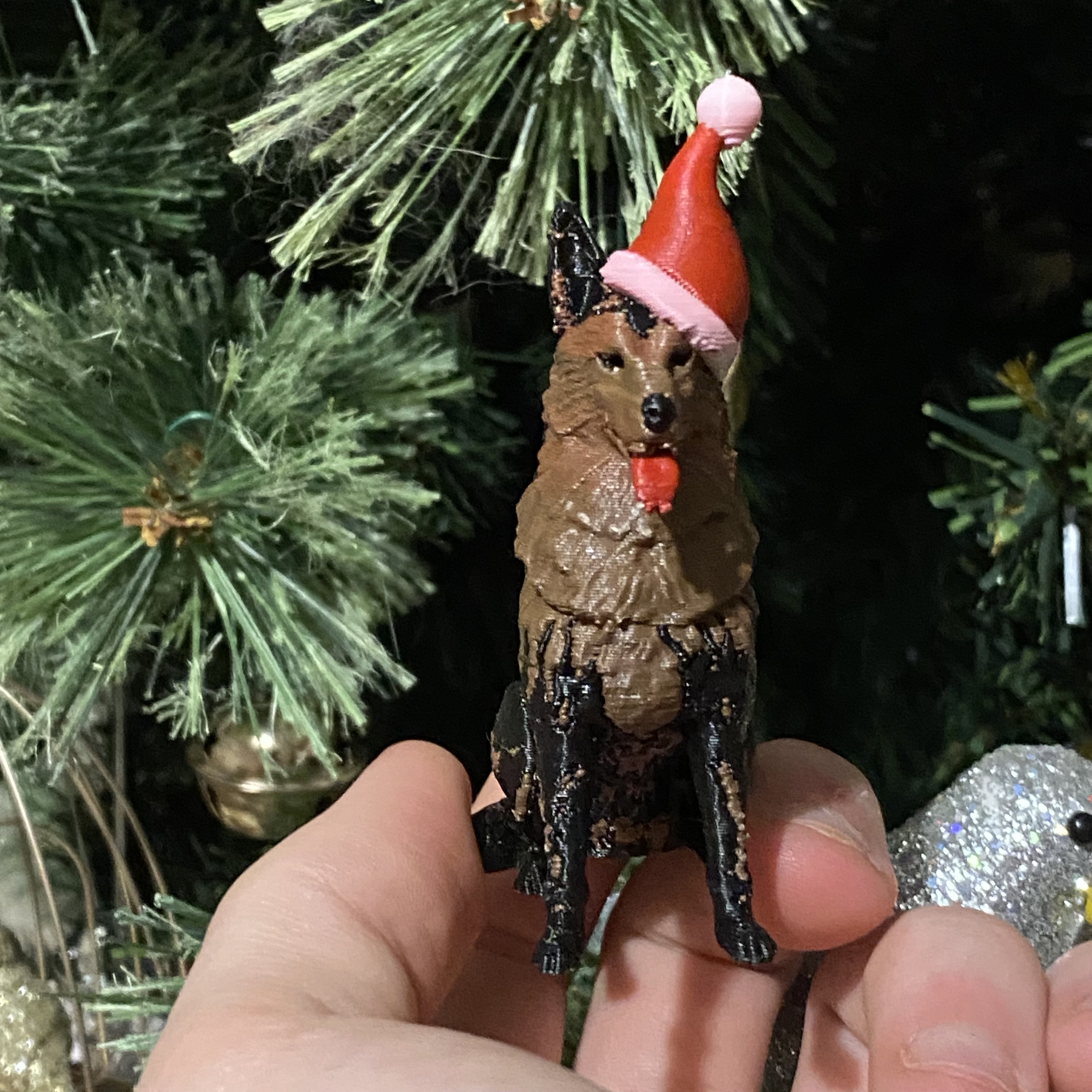 Chó Becgie Đức Đội Mũ Ông Già Noel Mùa Giáng Sinh