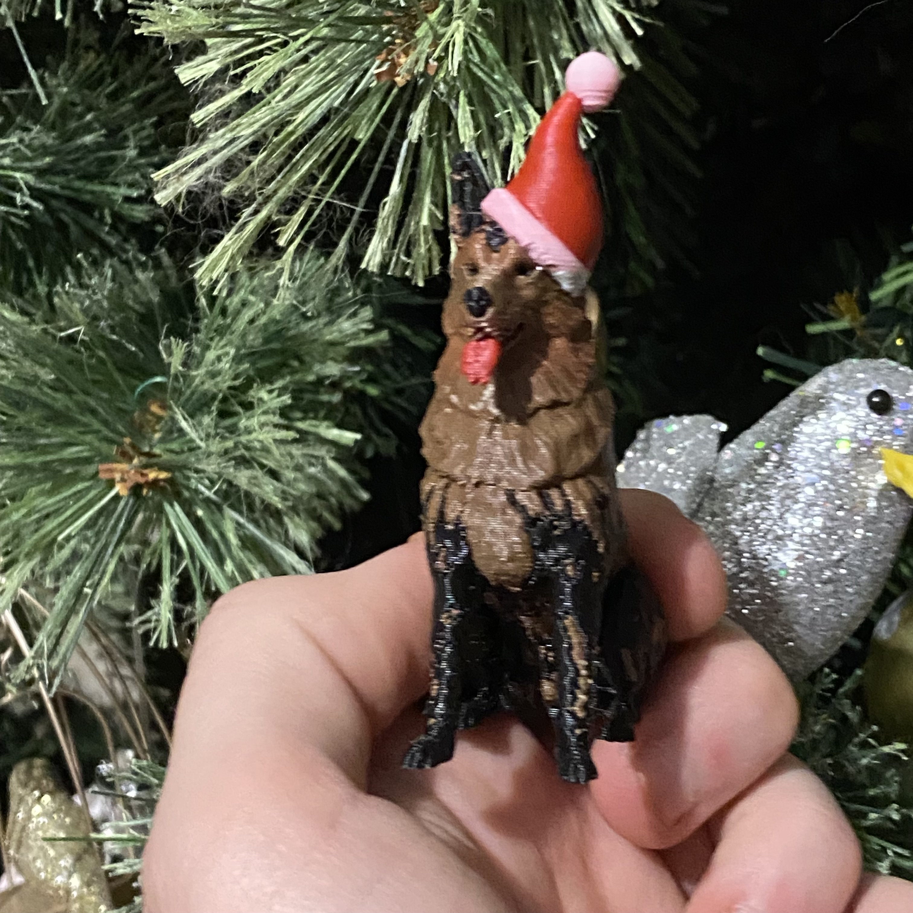 Chó Becgie Đức Đội Mũ Ông Già Noel Mùa Giáng Sinh